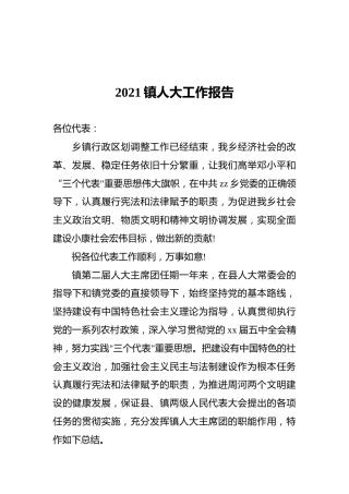2021镇人大工作报告