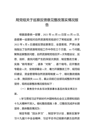局党组关于巡察反馈意见整改落实情况报告