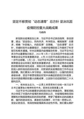 坚定不移贯彻“动态清零”总方针坚决巩固疫情防控重大战略成果