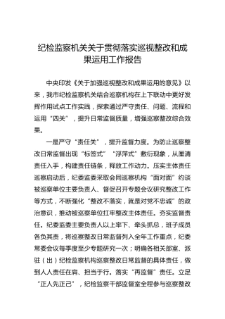 纪检监察机关关于贯彻落实巡视整改和成果运用工作报告
