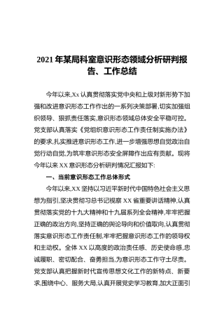 2021年某局科室领域分析研判报告、工作总结