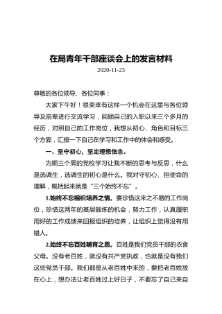 在局青年干部座谈会上的发言材料