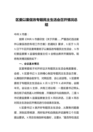 区委以案促改专题