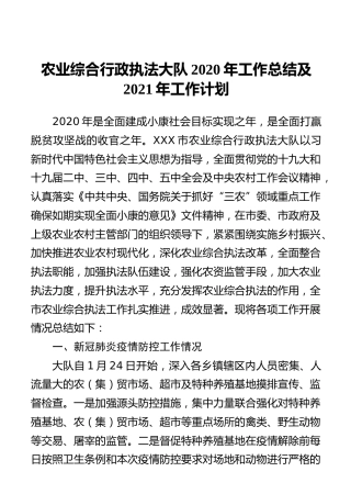 农业综合行政执法大队2020年工作总结及2021年工作计划
