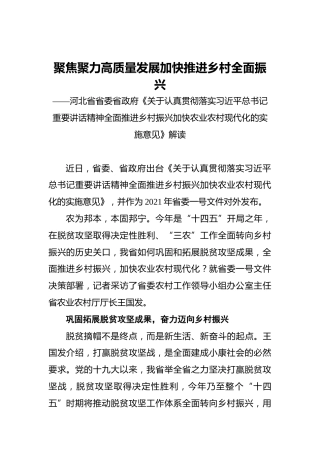 聚焦聚力高质量发展加快推进乡村全面振兴