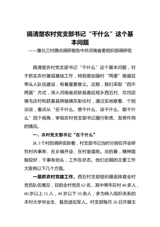 河南省委组织部蹲点调研报告：搞清楚农村党支部书记“干什么”这个基本问题