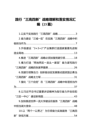 践行“三高四新”战略理解和落实情况汇编（23篇）