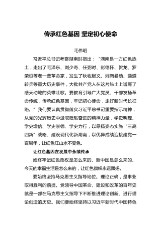 湖南省省长毛伟明撰文：传承红色基因坚定初心使命