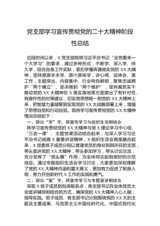 党支部学习宣传贯彻党的二十大精神阶段性总结