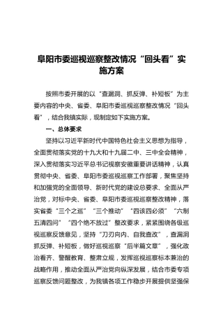 阜阳市委巡视巡察整改情况“回头看”实施方案