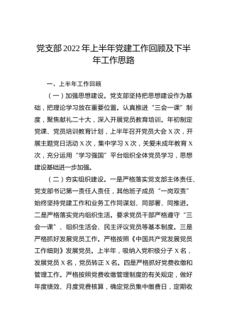 党支部2022年上半年党建工作回顾及下半年工作思路