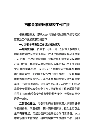 2022年市粮食领域巡察整改工作汇报