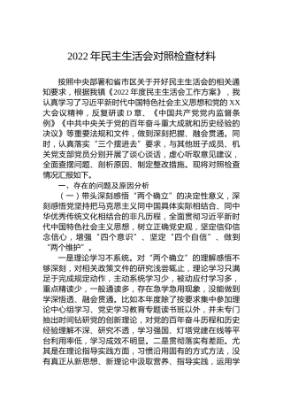 2022年民主生活会对照检查材料3
