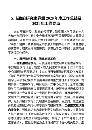 X市政府研究室党组2020年度工作总结及2021年工作要点