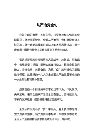 从严治党金句