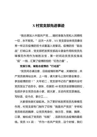 X村党支部先进事迹