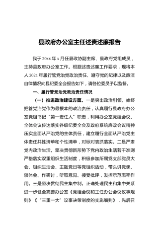 2021年县政府办公室主任述责述廉报告