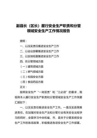 2021年副县长（区长）履行安全生产职责和分管领域安全生产工作情况报告