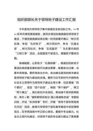 组织部部长关于领导班子建设工作汇报