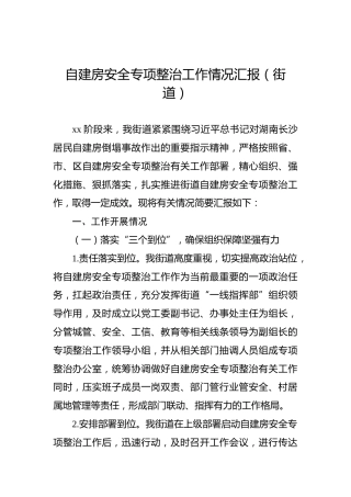 自建房安全专项整治工作情况汇报（街道）