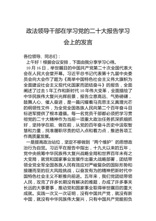 政法领导干部在学习党的二十大报告学习会上的发言