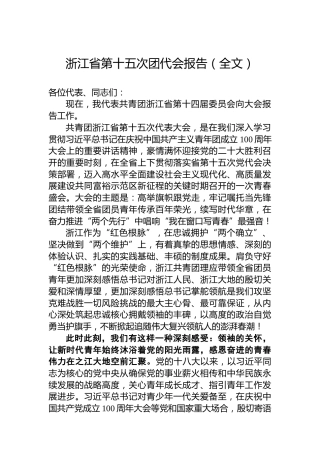 浙江省第十五次团代会报告（团代会报告）