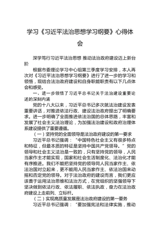 学习《习近平法治思想学习纲要》心得体会