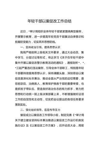 年轻干部以案促改工作总结（审计局）