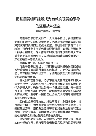 娄底市委书记邹文辉：把基层党组织建设成为有效实现党的领导的坚强战斗堡垒