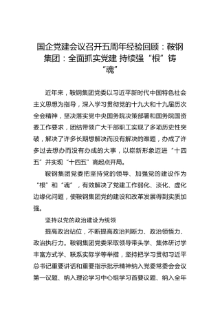 国企党建会议召开五周年经验回顾：鞍钢集团：全面抓实党建持续强“根”铸“魂”