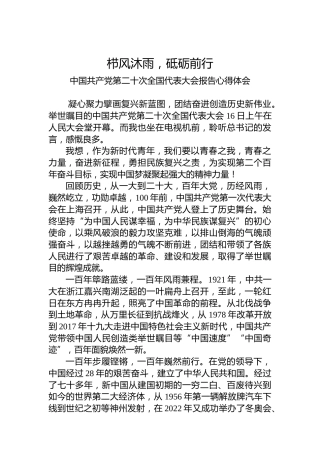 二十大报告心得：栉风沐雨，砥砺前行