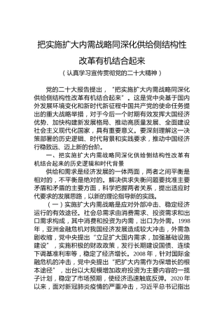 把实施扩大内需战略同深化供给侧结构性改革有机结合起来（认真学习宣传贯彻党的二十大精神）