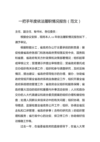 一把手年度依法履职情况报告