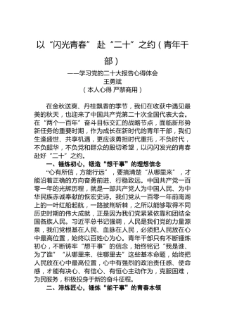 二十大报告心得：以“闪光青春”赴“二十”之约（青年干部）