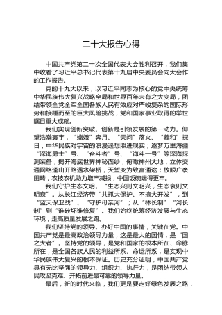 二十大报告心得