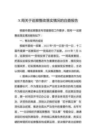 X局关于巡察整改落实情况的自查报告