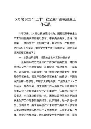 XX局2022年上半年安全生产巡视巡查工作汇报