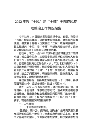 2022年兴“十风”治“十弊”干部作风专项整治工作情况报告