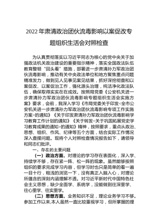 2022年肃清政治团伙流毒影响以案促改材料