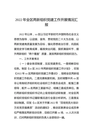 2022年全区两新组织党建工作开展情况汇报
