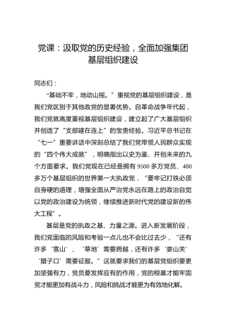 2022年党课：汲取党的历史经验，全面加强集团基层组织建设