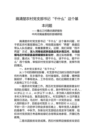 【调研报告】中共河南省委组织部调研组：搞清楚支部书记“干什么”这个基本问题