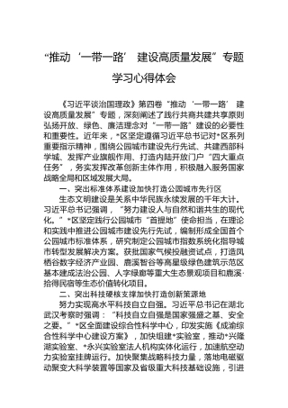 “推动‘一带一路’建设高质量发展”专题学习心得体会
