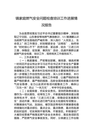 镇家庭燃气安全问题检查培训工作进展情况报告