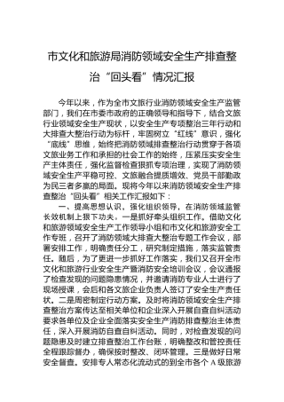 市文化和旅游局消防领域安全生产排查整治“回头看”情况汇报