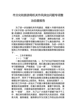 市文化和旅游局机关作风突出问题专项整治自查报告