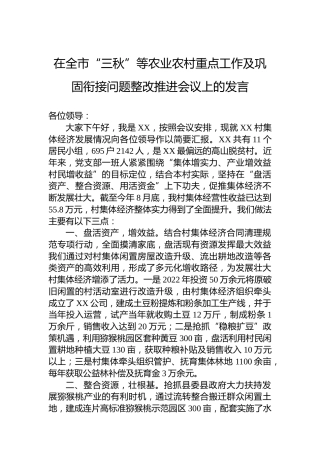 在全市“三秋”等农业农村重点工作及巩固衔接问题整改推进会议上的发言