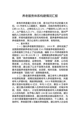 养老服务体系构建情况汇报