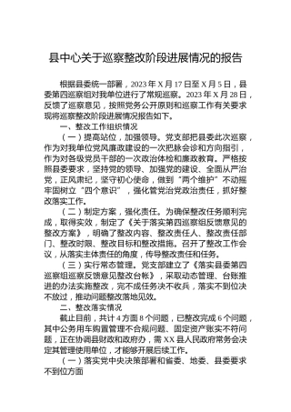县中心关于巡察整改阶段进展情况的报告