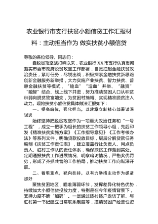 农业银行市支行扶贫小额信贷工作汇报材料：主动担当作为做实扶贫小额信贷